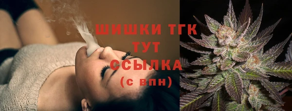 мяу мяу мука Белокуриха