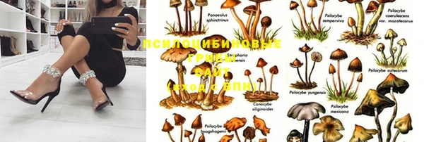 ALPHA-PVP Железноводск